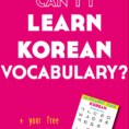 Why Can't I Learn Korean Vocabulary  What I'm Doing To