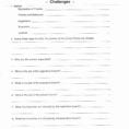 Why Ernment Worksheet Answers Linear Equations Worksheet