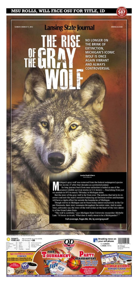 Wolves In Yellowstone Student Worksheet Answers
