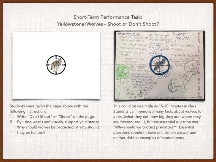 Wolves In Yellowstone Student Worksheet Answers — db-excel.com