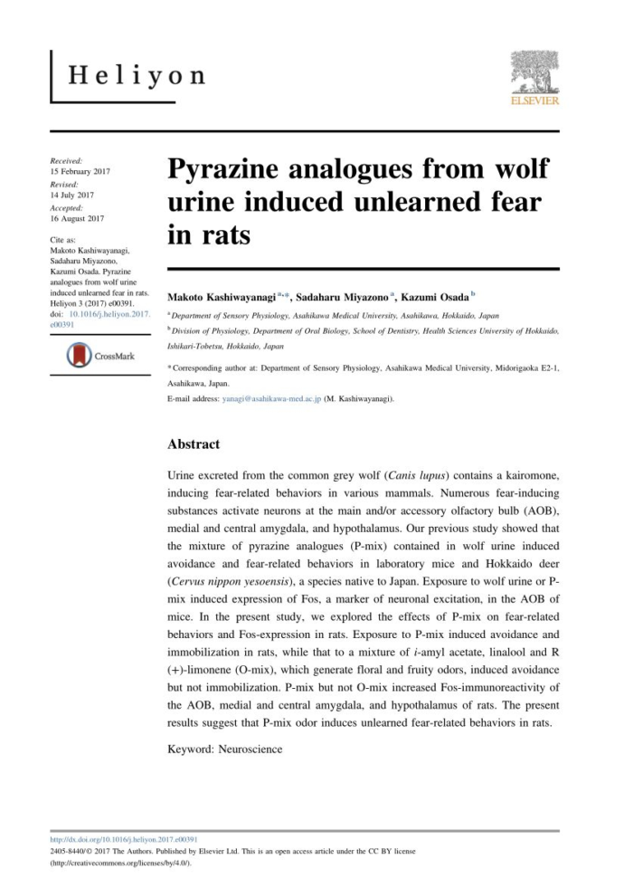 Wolves In Yellowstone Worksheet