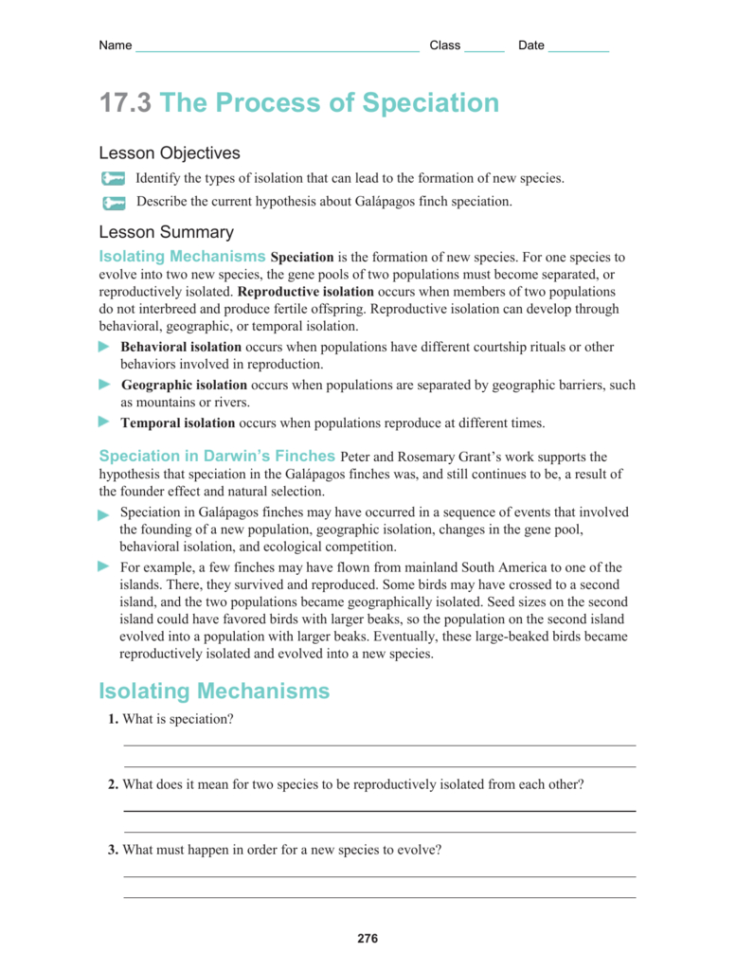Worksheet 173