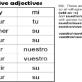 Worksheet 2 Possessive Adjectives Spanish Answers