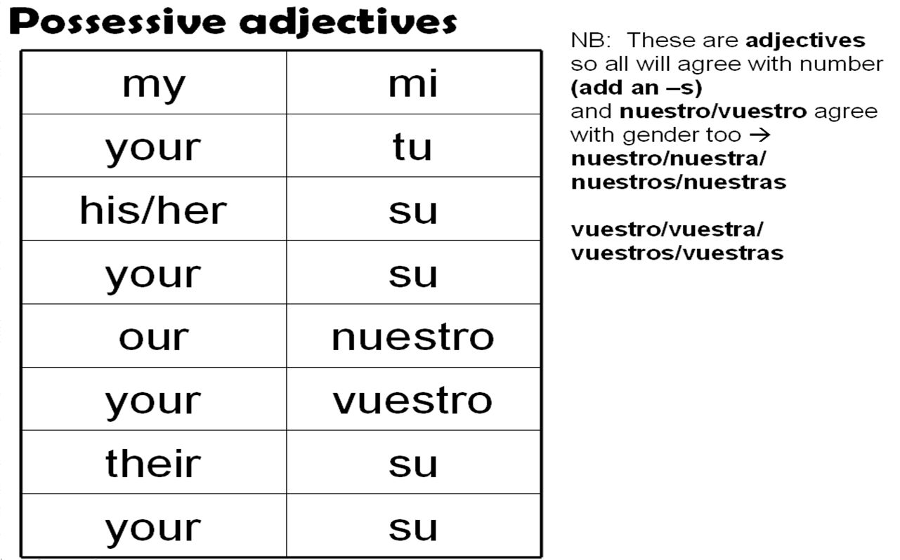 Spanish Stressed Possessive Adjective Worksheet Pdf