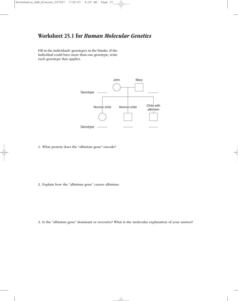 Worksheet 251 For Human Molecular Genetics