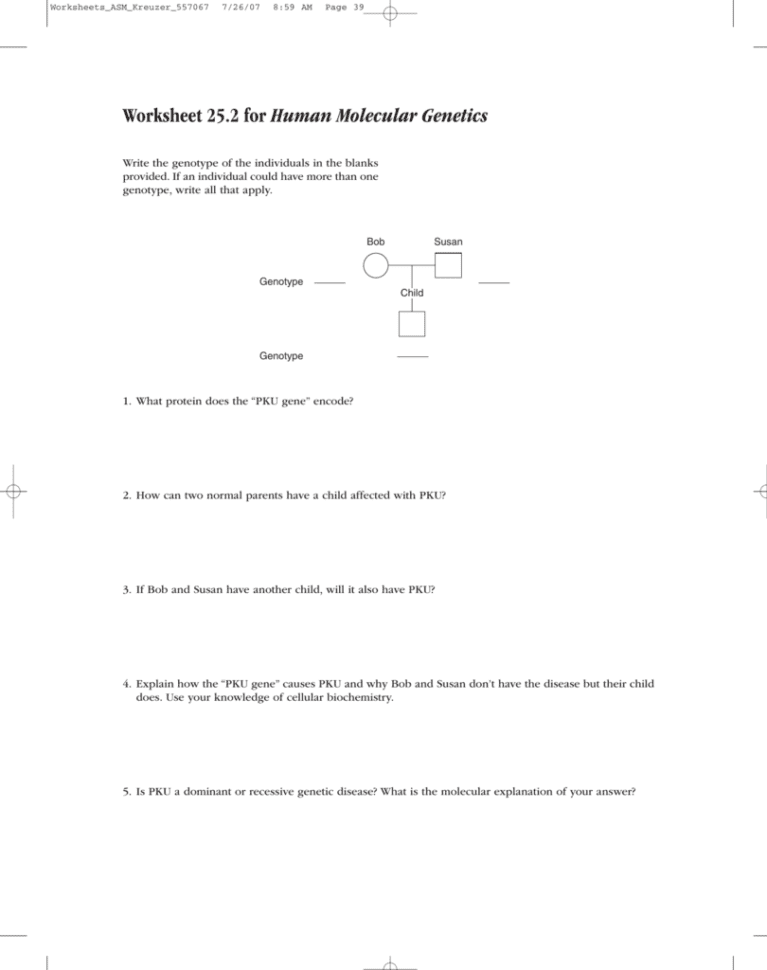 Worksheet 252 For Human Molecular Genetics