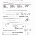 Worksheet 2Nd Grade Writing Worksheets Dingbats Quiz Times