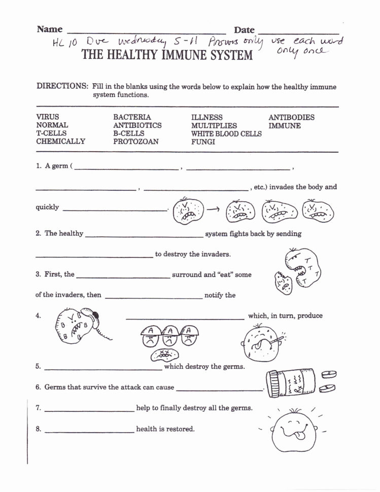 Worksheet 2Nd Grade Writing Worksheets Dingbats Quiz Times