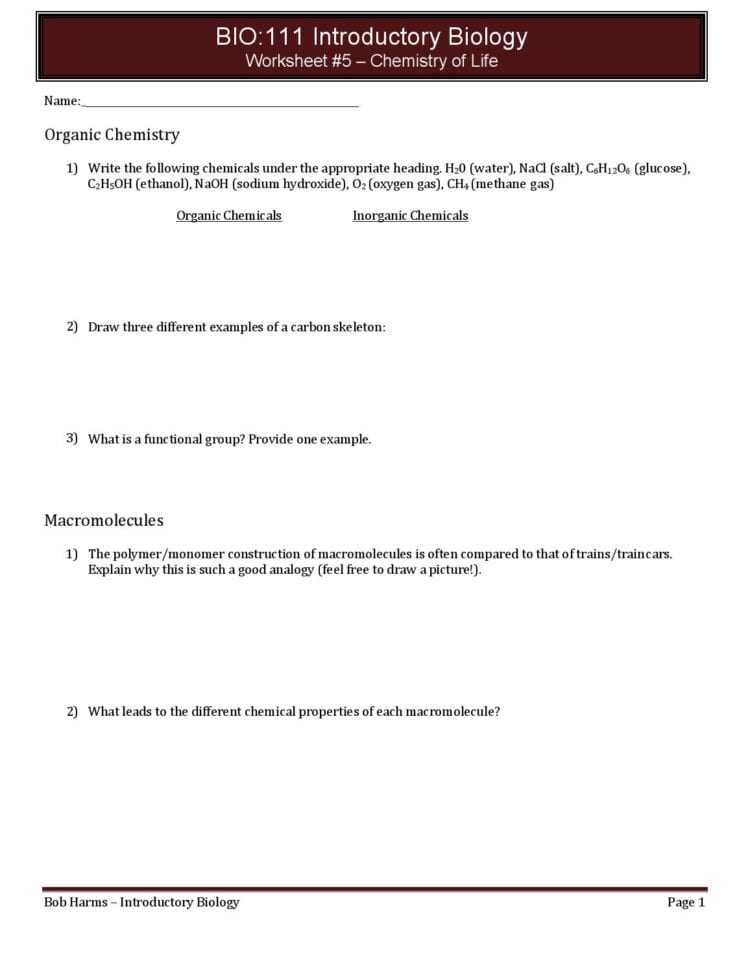 Worksheet 5 Chemistry Of Lifedeadchimp99