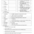 Worksheet Adverb Activities Noun Verb Sentences Worksheets