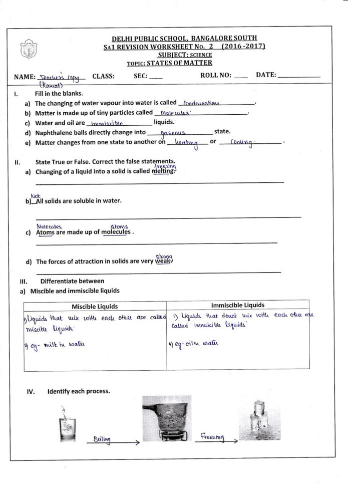 Worksheet Basic Spoken English Nutrition Worksheets Lesson