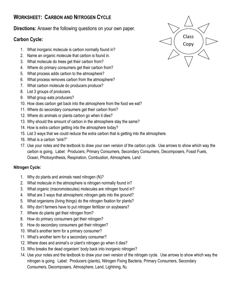 Worksheet Carbon And Nitrogen Cycle