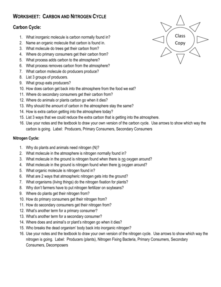 Worksheet Carbon And Nitrogen Cycle