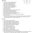 Worksheet Carbon And Nitrogen Cycle