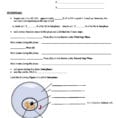 Worksheet Cell Division Worksheet The Cell Cycle And Steps