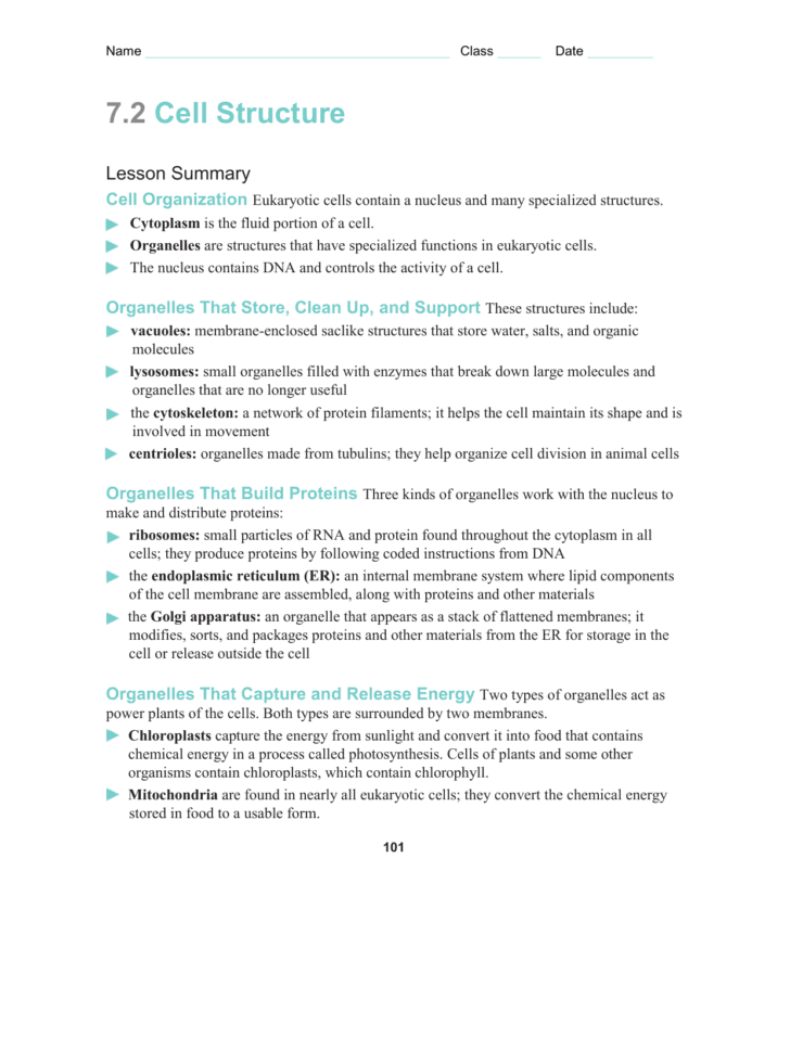 7 2 Cell Structure Worksheet Answer Key Biology