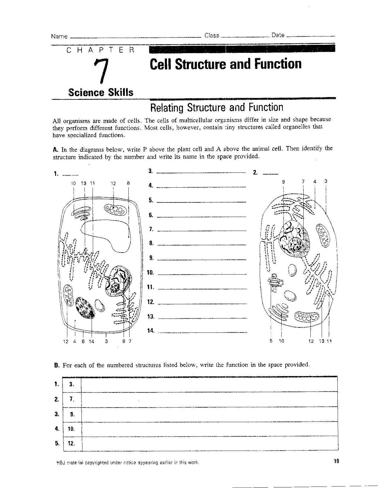 Worksheet Cell Worksheets Cell Biology Worksheets Kidz