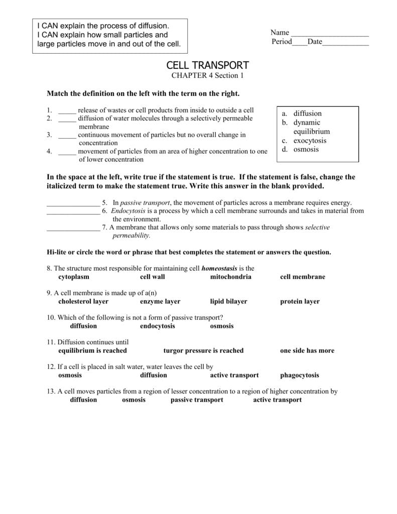 Worksheet Cellular Transport Worksheet Active Transport