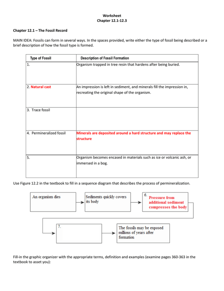 Section 17 1 The Fossil Record Worksheet Answer Key — db-excel.com