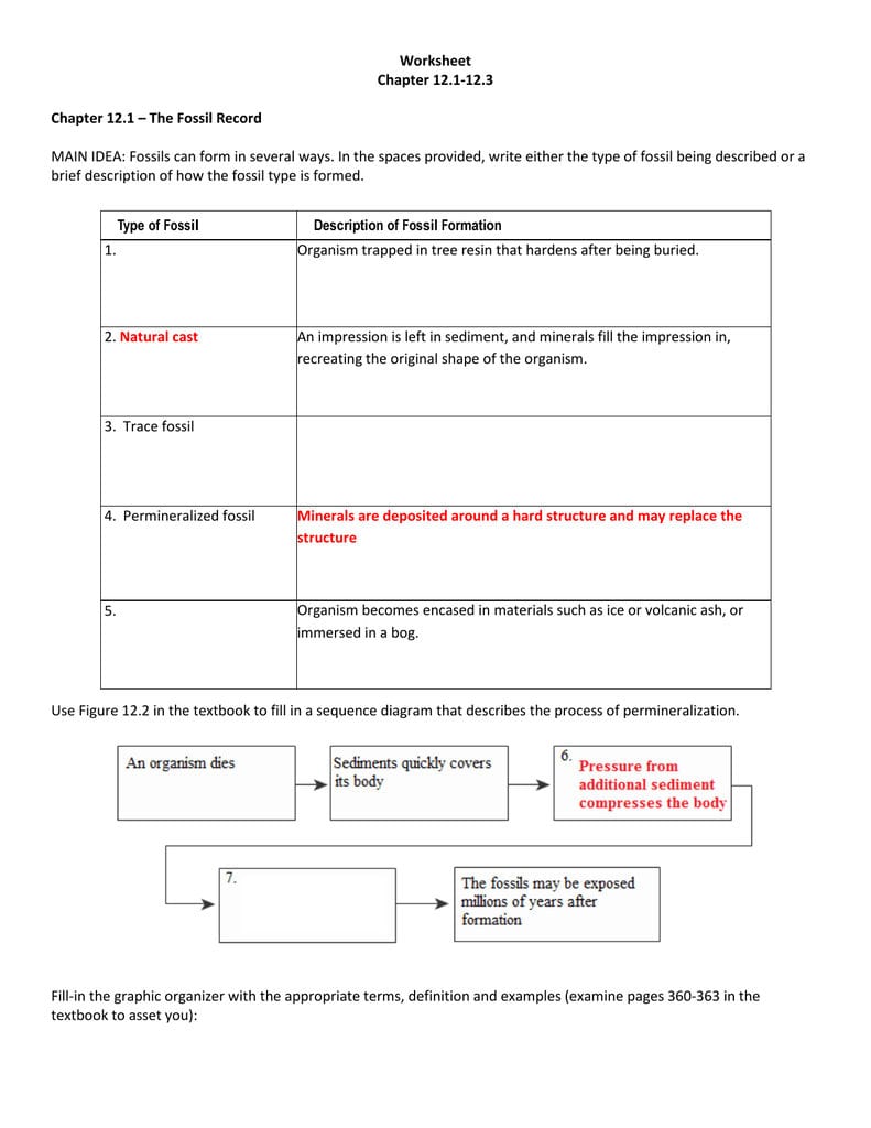 Worksheet Chapter 121123 Chapter 121 – The Fossil Record
