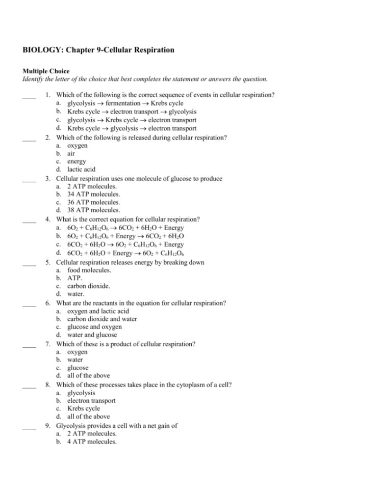 Worksheet Chapter 9 Energy In A Cell Answers Section 1