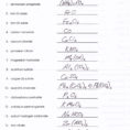 Worksheet Chemical Formula Writing Worksheet Worksheet For