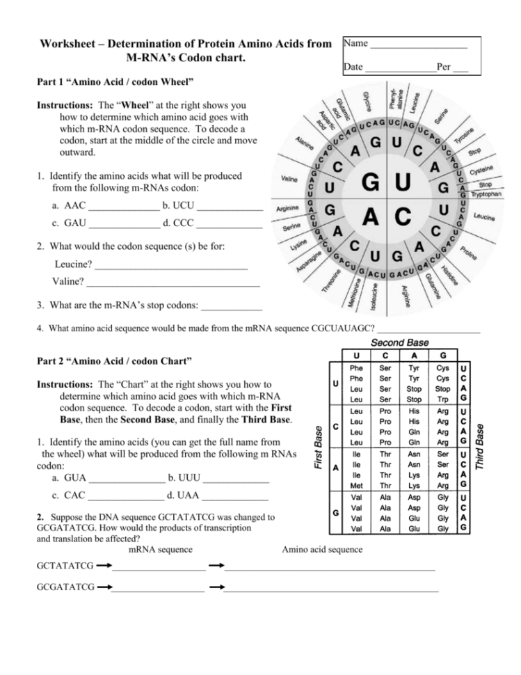 Worksheet – Determination Of Protein Amino Acids From M Worksheet – Determination Of Protein Amino Acids From M