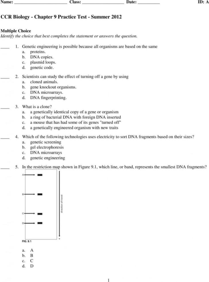 Dna Fingerprinting And Paternity Worksheet Answer Key