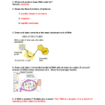 Worksheet Dna Structure Replication And Genetic Code