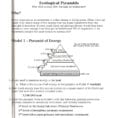 Worksheet Ecological Pyramids Worksheet Best Ideas About