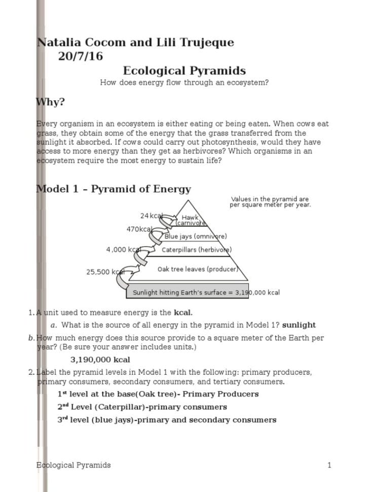 Worksheet Ecological Pyramids Worksheet Best Ideas About
