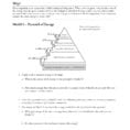 Worksheet Ecological Pyramids Worksheet Ecological