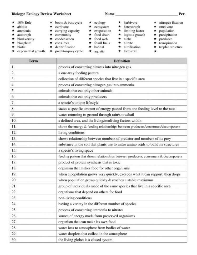 Worksheet Esl Workbooks For Adults 1St Grade Math