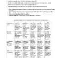 Worksheet Five Themes Of Geography Worksheet Human