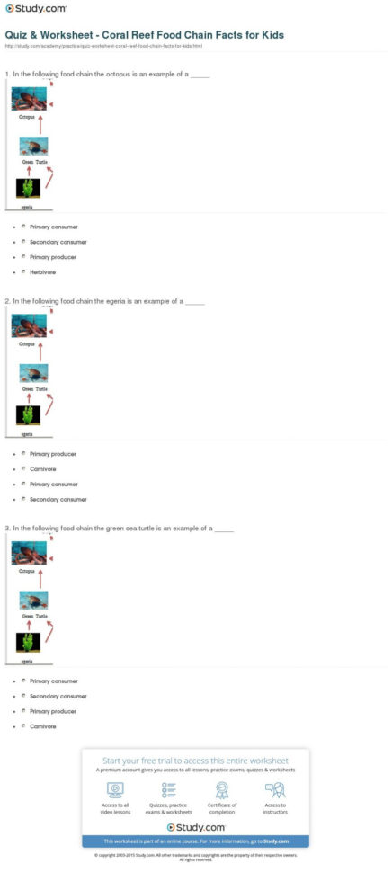 Worksheet Food Web Worksheets Quiz Worksheet Coral Reef Food Chain Worksheet Food Web Worksheets Quiz Worksheet Coral Reef Food Chain