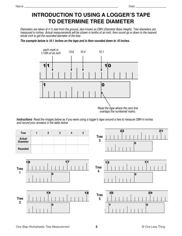 Reading A Tape Measure Worksheet —