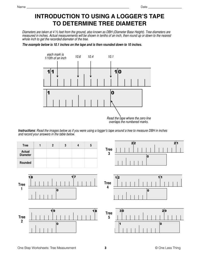 Worksheet  How To Read A Tape Measure Worksheet