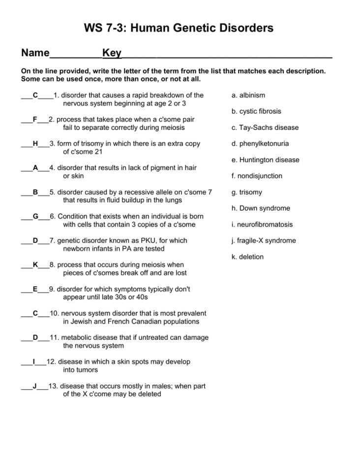 Human Inheritance Worksheet Answers — db-excel.com