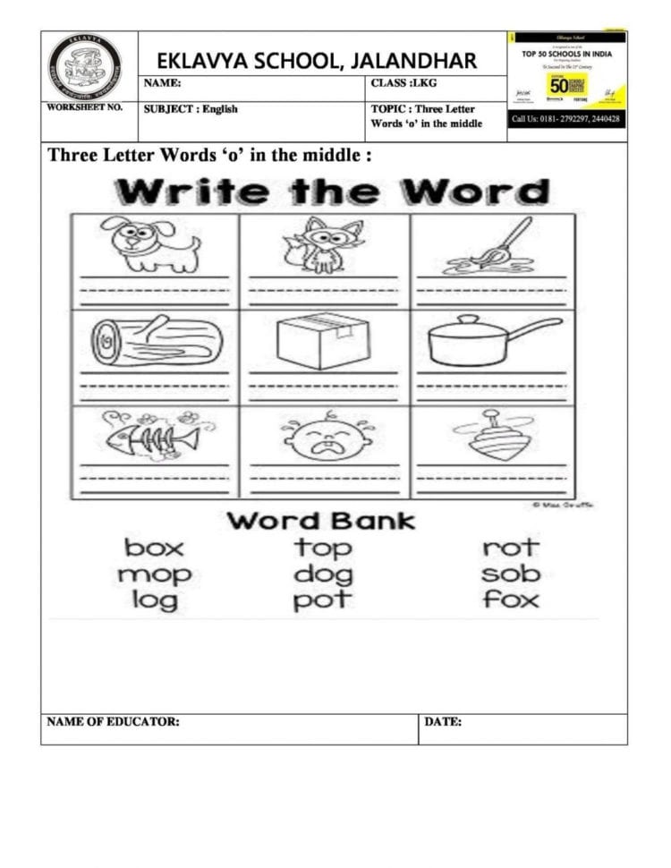 Worksheet Ideas  Career Worksheets For Middle School