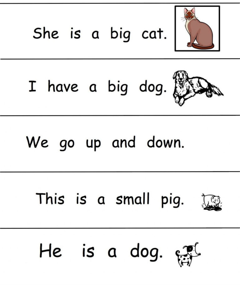 Sight Word Sentences Worksheets — db-excel.com