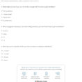 Worksheet Ideas  Spanish Worksheets For Beginners Pdf Worksheet