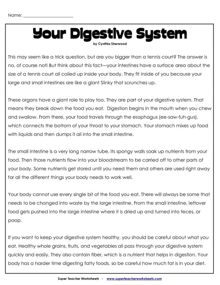 Worksheet Ideas  Worksheet Ideas Human Body Systems