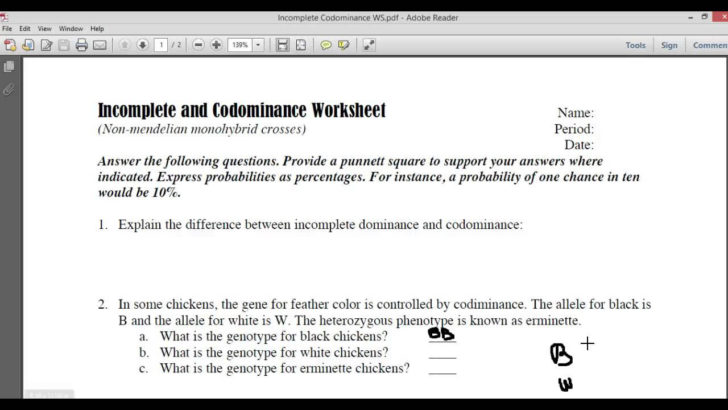 Incomplete Dominance And Codominance Practice Problems Worksheet Answer Key