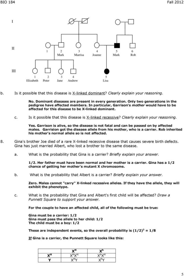 Worksheet Incomplete Dominance Worksheet Worksheet Punnett