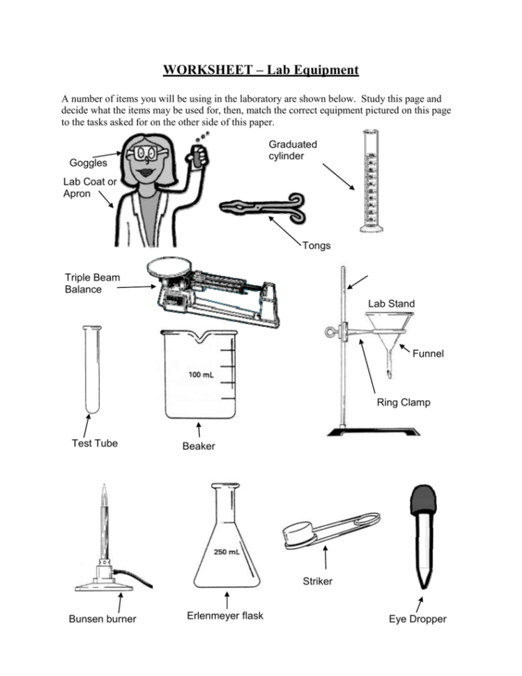 Worksheet  Lab Equipment