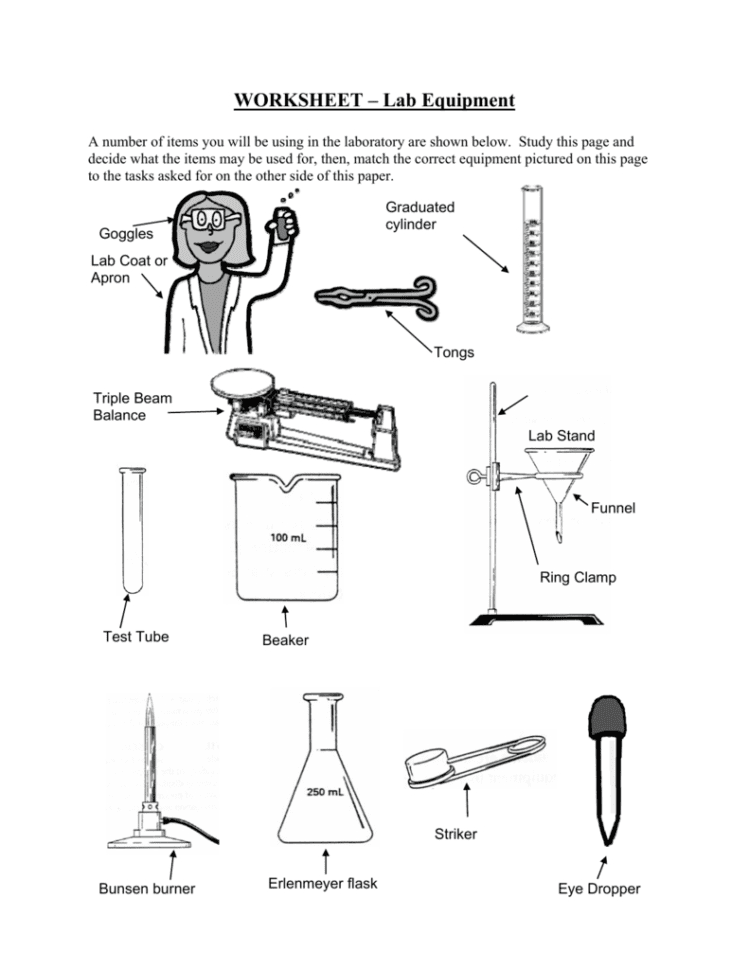 Worksheet – Lab Equipment