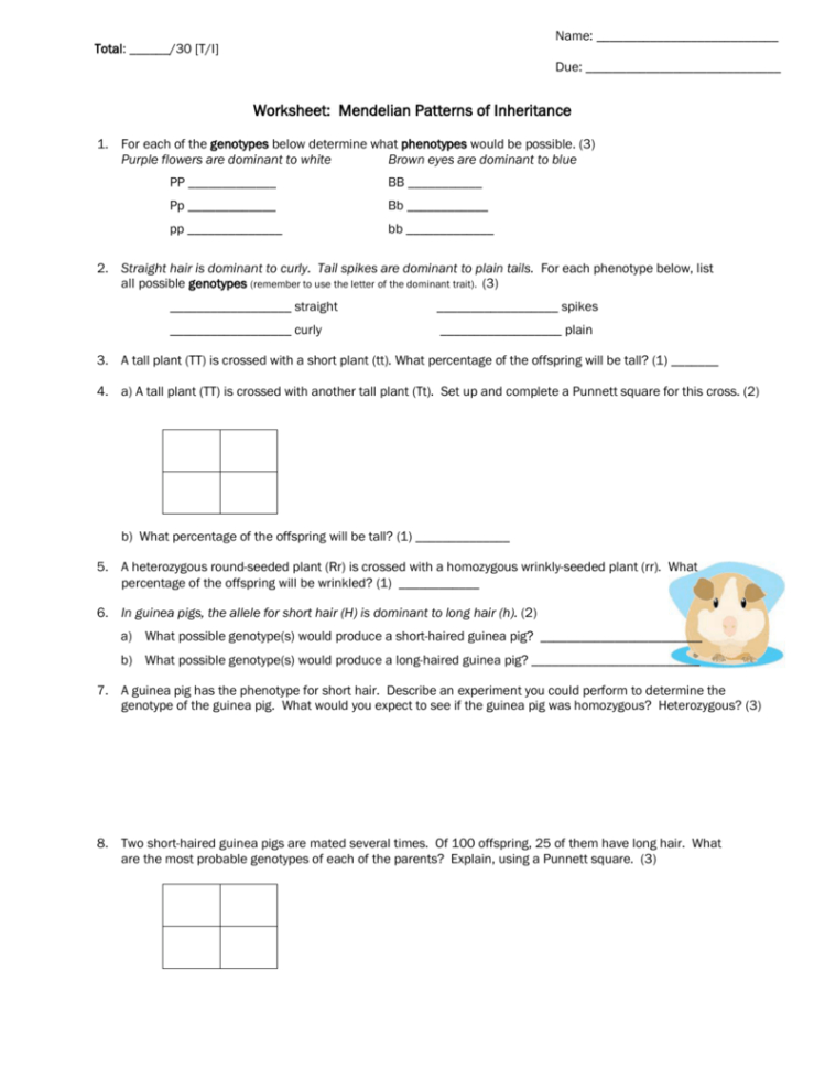 Worksheet Mendelian Patterns Of Inheritance