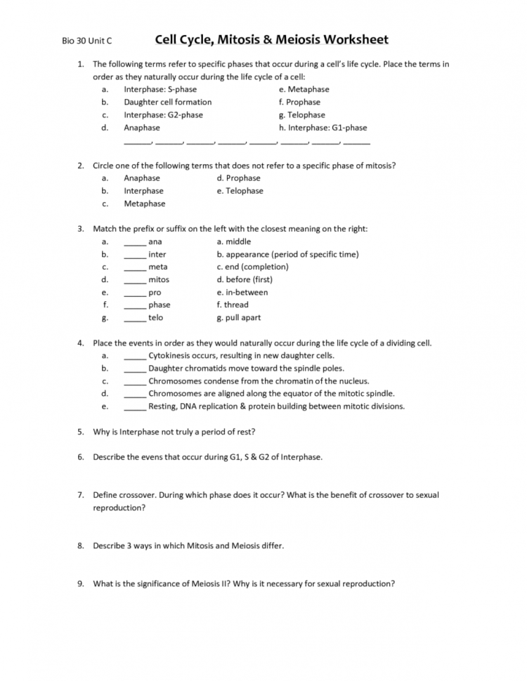 Worksheet Mitosis Versus Meiosis Worksheet Of Phases