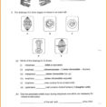 Worksheet Mitosis Worksheet And Diagram Identification