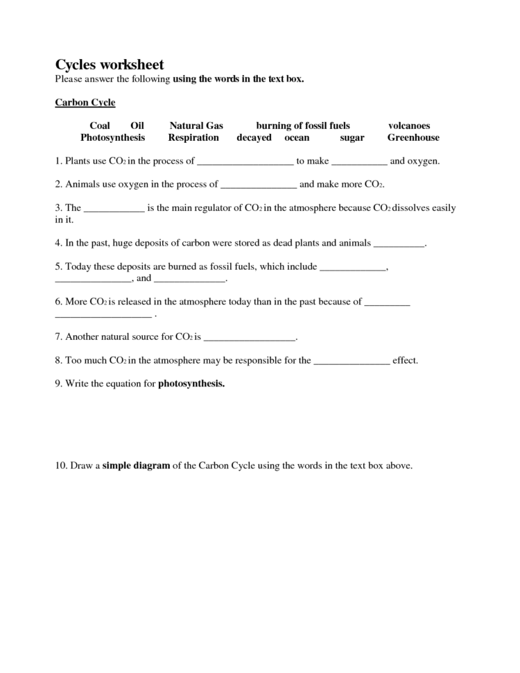 Worksheet Nutrient Cycles Worksheet Sci Week Human Impact